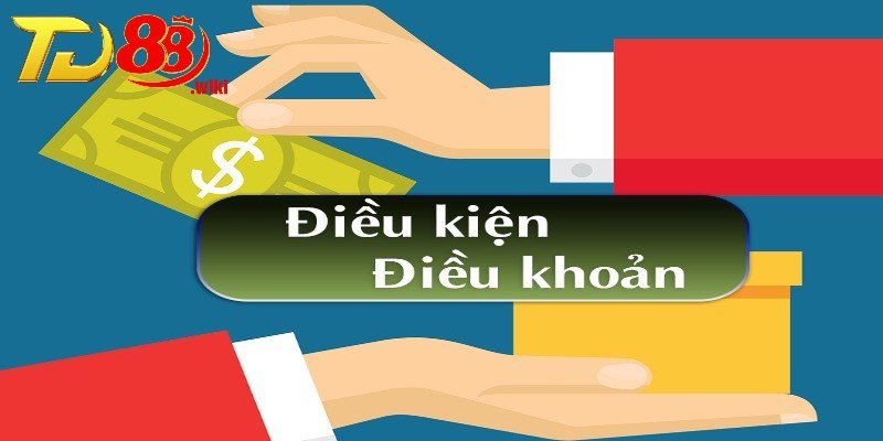 Các điều kiện và điều khoản cần biết tại TD88